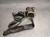 Cinturón trasero