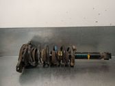 Stoßdämpfer hinten
