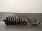 Front shock absorber with coil spring
