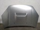 Motorhaube