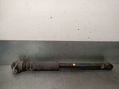 Stoßdämpfer hinten