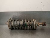Front shock absorber with coil spring