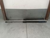 Tailgate/trunk strut/damper