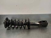 Amortiguador delantero con muelle espiral