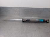 Rear shock absorber/damper