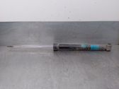 Rear shock absorber/damper