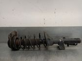 Stoßdämpfer hinten
