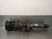 Amortiguador delantero con muelle espiral