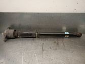 Stoßdämpfer hinten