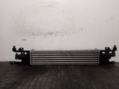 Intercooler radiator