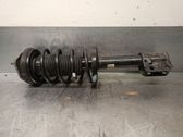 Amortiguador delantero con muelle espiral