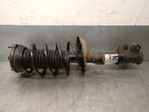 Amortiguador delantero con muelle espiral