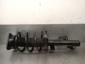 Front shock absorber with coil spring