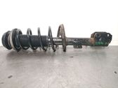 Front shock absorber with coil spring