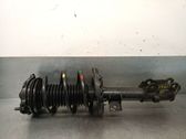 Amortiguador delantero con muelle espiral