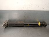 Rear shock absorber/damper