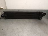 Radiador intercooler