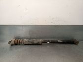 Rear shock absorber/damper