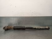 Rear shock absorber/damper