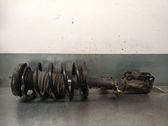 Front shock absorber with coil spring