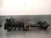 Amortiguador delantero con muelle espiral