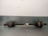 Antriebswelle hinten