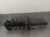 Front shock absorber with coil spring