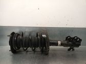 Amortiguador delantero con muelle espiral