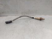 Sonde lambda