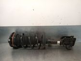 Front shock absorber with coil spring