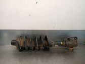 Rear shock absorber/damper