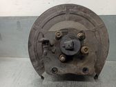 Rear wheel hub spindle/knuckle