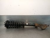 Front shock absorber with coil spring