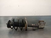 Amortiguador delantero con muelle espiral