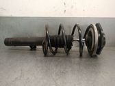 Amortiguador delantero con muelle espiral