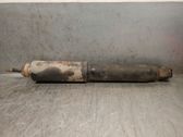 Front shock absorber with coil spring