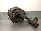 Rear wheel hub spindle/knuckle