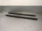 Tailgate/trunk strut/damper