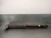 Rear shock absorber/damper