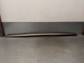 Dashboard trim