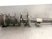 Amortiguador delantero con muelle espiral