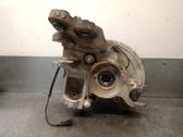 Rear wheel hub spindle/knuckle