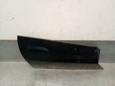 Dashboard trim