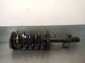 Amortiguador delantero con muelle espiral