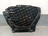 Kühlergrill