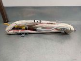 Airbag de la puerta delantera