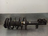 Amortiguador delantero con muelle espiral