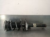 Amortiguador delantero con muelle espiral
