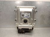 Unidad de control/módulo del motor