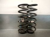 Front coil spring